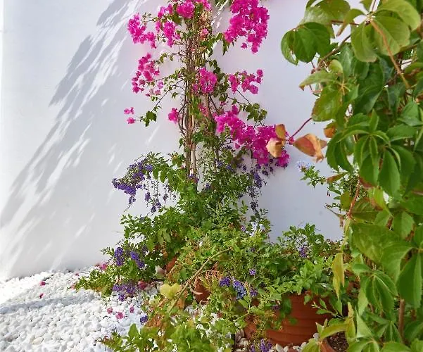 Casa Mardiva Rocca *